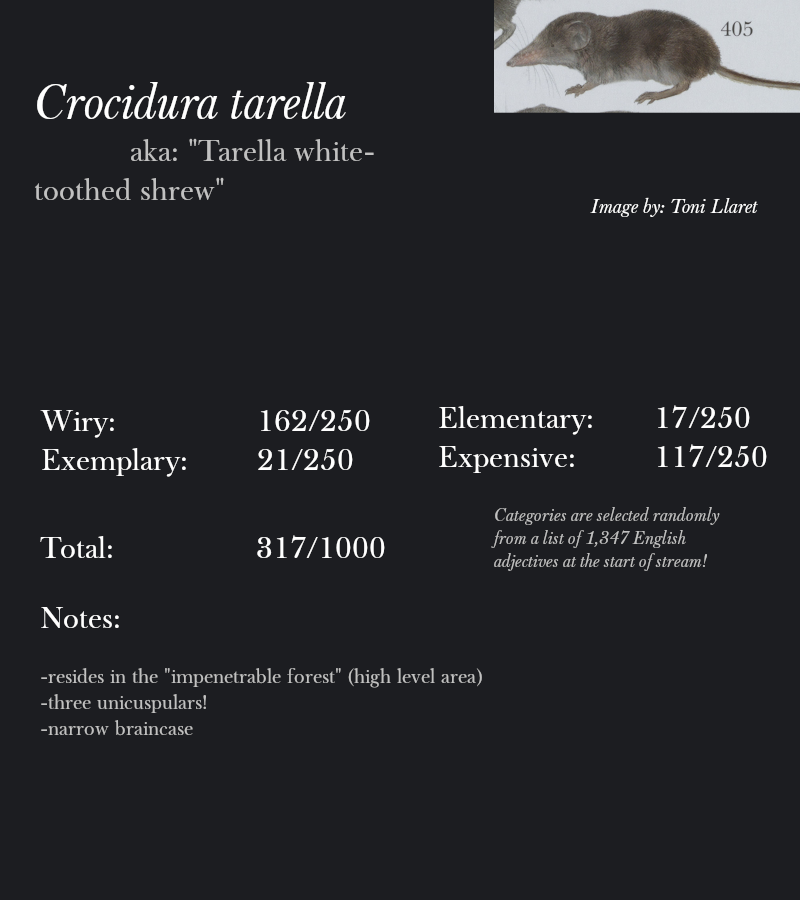 Crocidura tarella